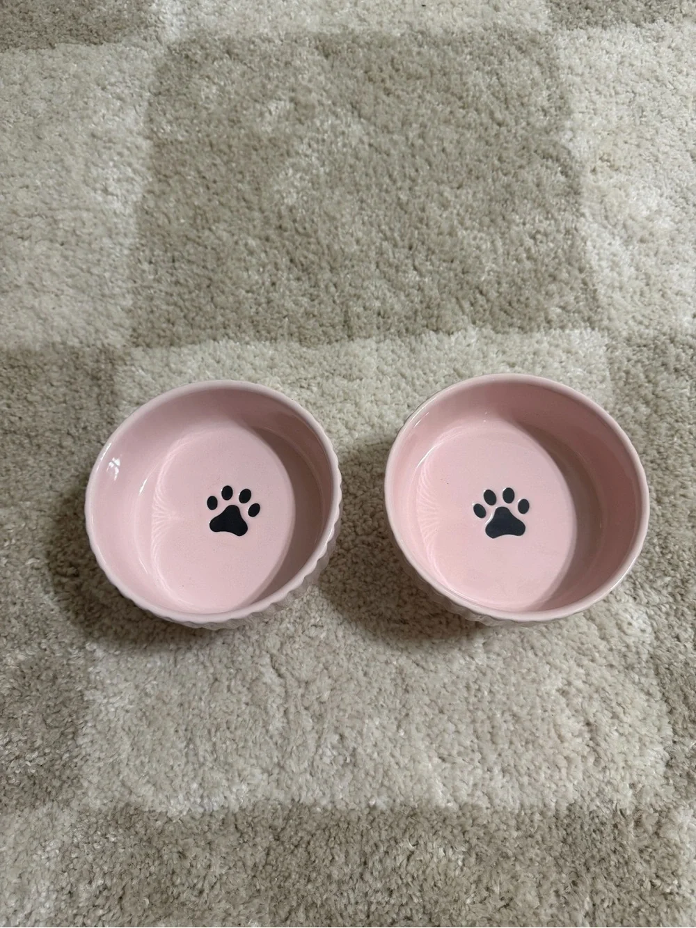 Pink Cat Paw Raised Pet Bowl Set